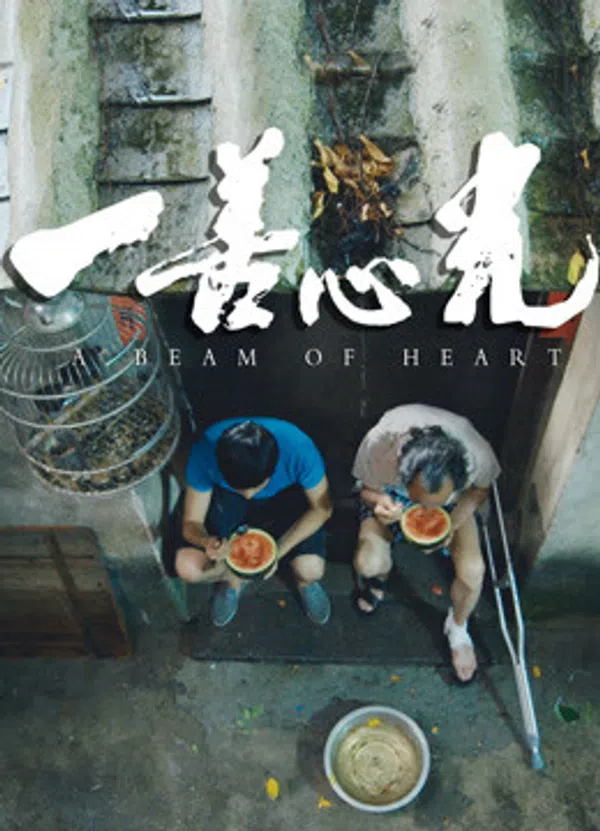 Xem Phim Chùm sáng của trái tim Vietsub HD Online